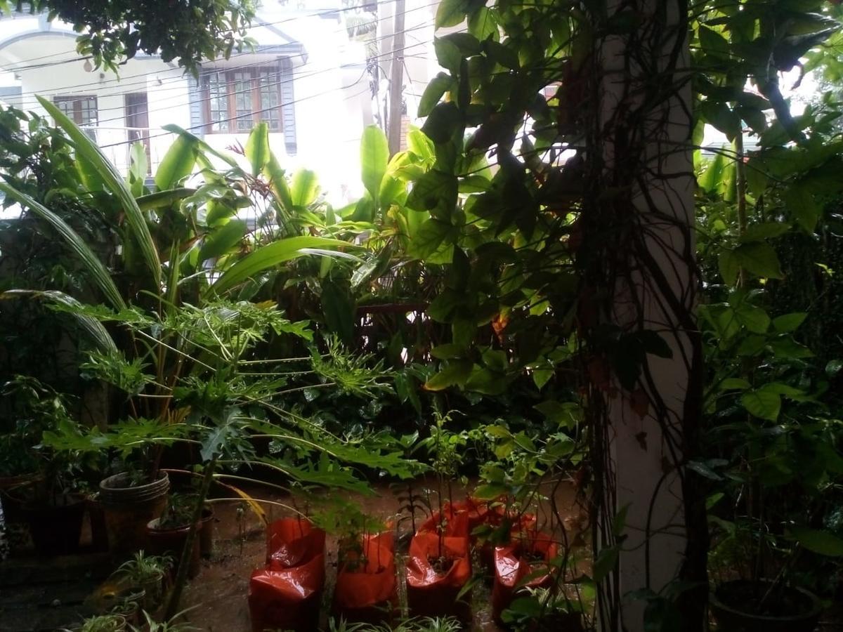 Nathans Holiday Home Kochi Buitenkant foto